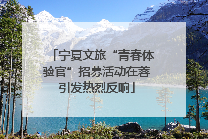 宁夏文旅“青春体验官”招募活动在蓉引发热烈反响