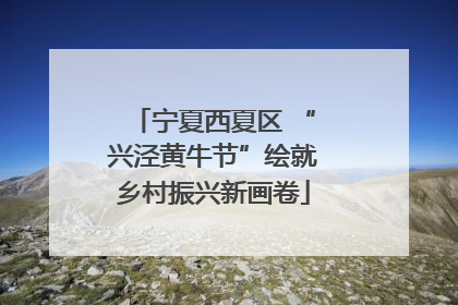 宁夏西夏区 “兴泾黄牛节”绘就乡村振兴新画卷