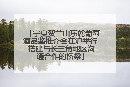 宁夏贺兰山东麓葡萄酒品鉴推介会在沪举行 搭建与长三角地区沟通合作的桥梁