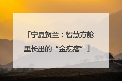 宁夏贺兰：智慧方舱里长出的“金疙瘩”