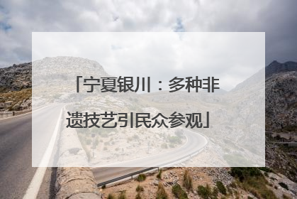 宁夏银川：多种非遗技艺引民众参观