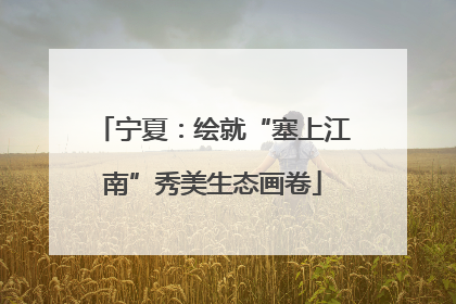 宁夏：绘就“塞上江南”秀美生态画卷