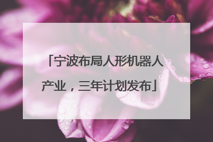 宁波布局人形机器人产业，三年计划发布