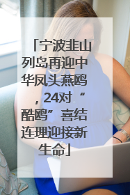 宁波韭山列岛再迎中华凤头燕鸥，24对“酷鸥”喜结连理迎接新生命