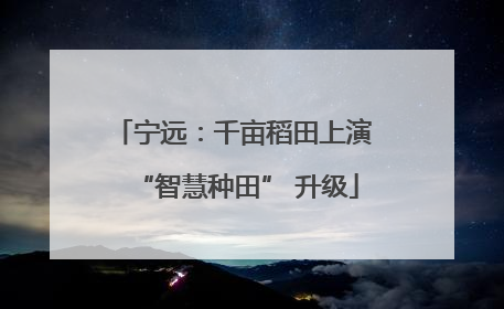 宁远：千亩稻田上演 “智慧种田” 升级