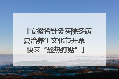 安徽省针灸医院冬病夏治养生文化节开幕 快来“趁热打贴”