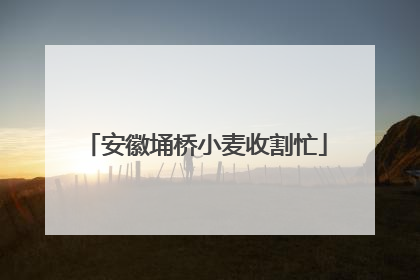 安徽埇桥小麦收割忙