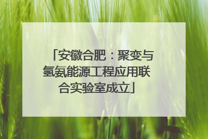 安徽合肥：聚变与氢氨能源工程应用联合实验室成立