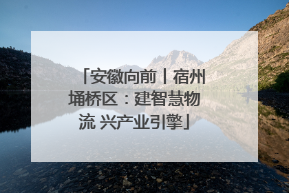 安徽向前丨宿州埇桥区：建智慧物流 兴产业引擎