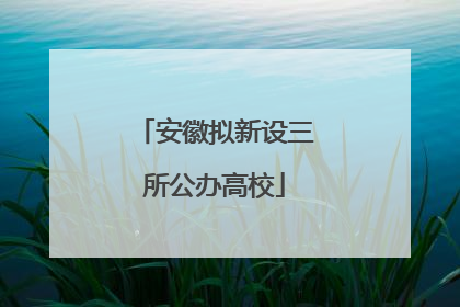 安徽拟新设三所公办高校