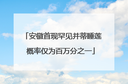 安徽首现罕见并蒂睡莲 概率仅为百万分之一