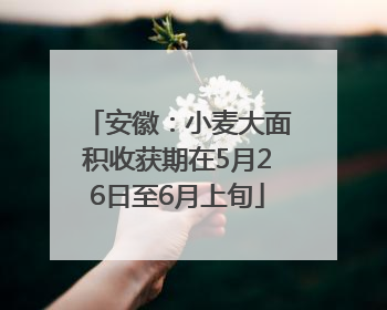 安徽：小麦大面积收获期在5月26日至6月上旬