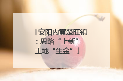 安阳内黄楚旺镇：思路“上新” 土地“生金”