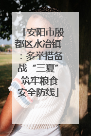 安阳市殷都区水冶镇：多举措备战“三夏” 筑牢粮食安全防线
