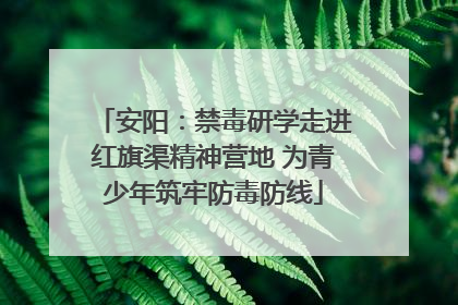安阳：禁毒研学走进红旗渠精神营地 为青少年筑牢防毒防线