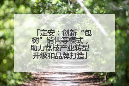 定安：创新“包树”销售等模式，助力荔枝产业转型升级和品牌打造