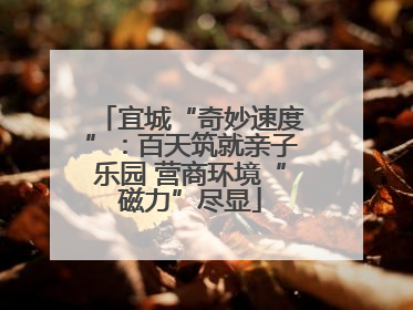 宜城“奇妙速度”：百天筑就亲子乐园 营商环境“磁力”尽显