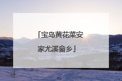 宝岛黄花菜安家尤溪畲乡