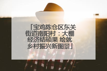 宝鸡陈仓区东关街道南阳村：大棚经济结硕果 绘就乡村振兴新图景