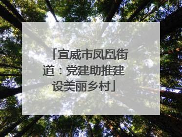 宣威市凤凰街道：党建助推建设美丽乡村
