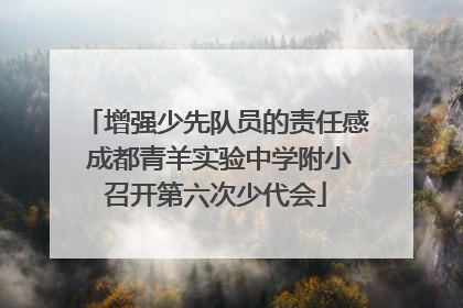 增强少先队员的责任感 成都青羊实验中学附小召开第六次少代会