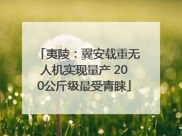 夷陵：翼安载重无人机实现量产 200公斤级最受青睐