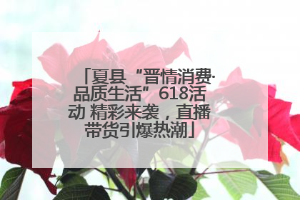 夏县“晋情消费·品质生活”618活动 精彩来袭，直播带货引爆热潮