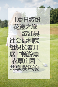 夏日缤纷·花漾之旅——溆浦县社会福利院组织长者开展“畅游薰衣草庄园 共享紫色浪漫”户外活动