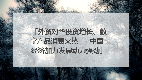 外资对华投资增长、数字产品消费火热……中国经济加力发展动力强劲