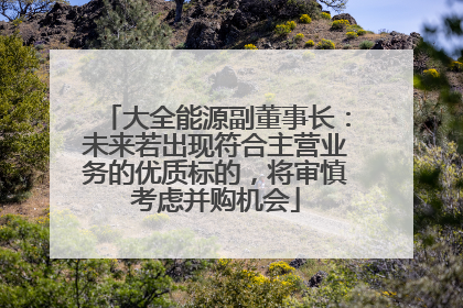 大全能源副董事长：未来若出现符合主营业务的优质标的，将审慎考虑并购机会