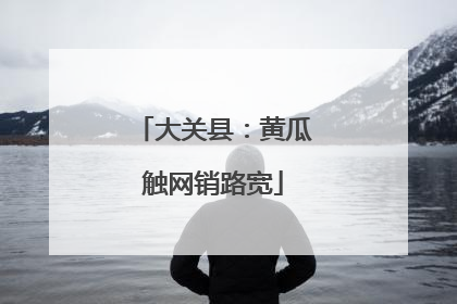 大关县：黄瓜触网销路宽