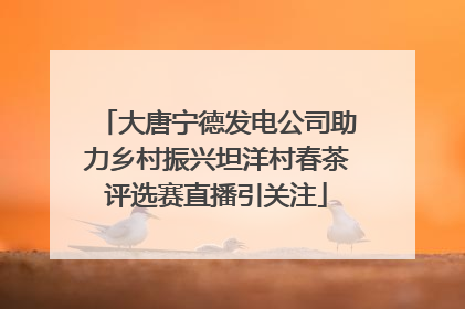 大唐宁德发电公司助力乡村振兴坦洋村春茶评选赛直播引关注