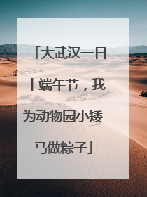 大武汉一日丨端午节，我为动物园小矮马做粽子