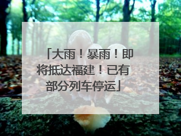大雨！暴雨！即将抵达福建！已有部分列车停运