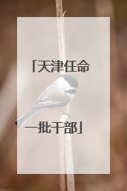 天津任命一批干部