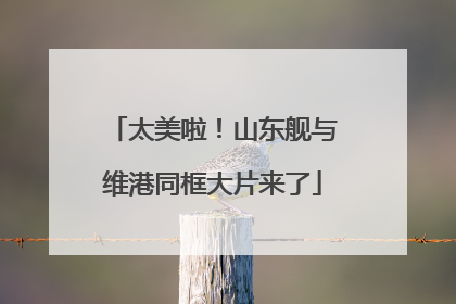 太美啦！山东舰与维港同框大片来了