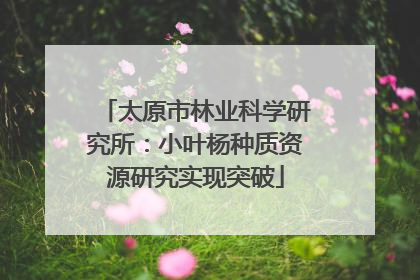 太原市林业科学研究所：小叶杨种质资源研究实现突破