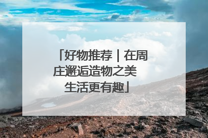 好物推荐｜在周庄邂逅造物之美 生活更有趣