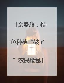 奈曼旗：特色种植“鼓了”农民腰包