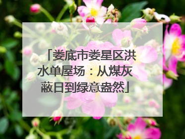 娄底市娄星区洪水单屋场：从煤灰蔽日到绿意盎然