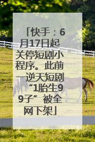 快手：6月17日起关停短剧小程序。此前一逆天短剧“1胎生99子”被全网下架