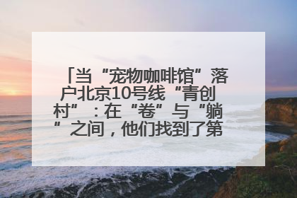 当“宠物咖啡馆”落户北京10号线“青创村”：在“卷”与“躺”之间，他们找到了第三种生活公式