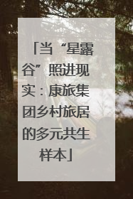 当“星露谷”照进现实：康旅集团乡村旅居的多元共生样本