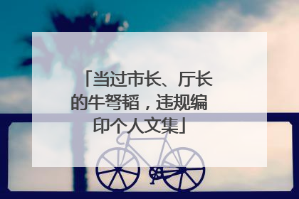 当过市长、厅长的牛弩韬，违规编印个人文集
