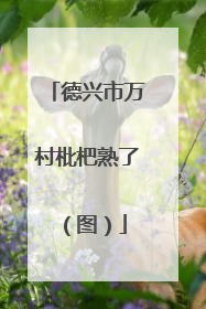 德兴市万村枇杷熟了（图）