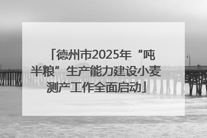 德州市2025年“吨半粮”生产能力建设小麦测产工作全面启动