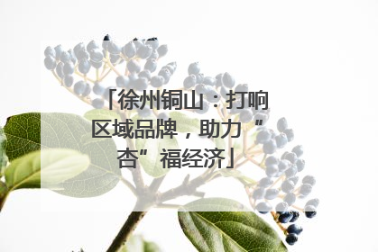徐州铜山：打响区域品牌，助力“杏”福经济