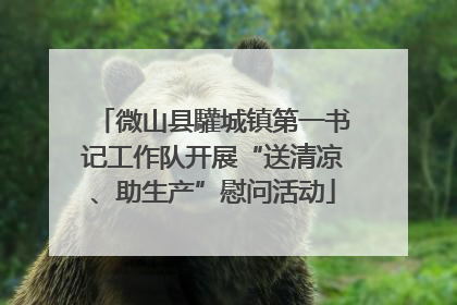 微山县驩城镇第一书记工作队开展“送清凉、助生产”慰问活动