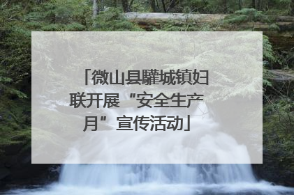微山县驩城镇妇联开展“安全生产月”宣传活动