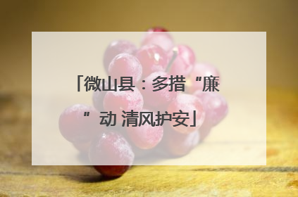 微山县：多措“廉”动 清风护安